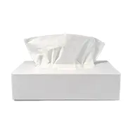 Facial Tissue supplier in Jeddah Saudi Arabia — Ideal Elite