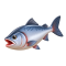Seafood supplier in Saudi Arabia